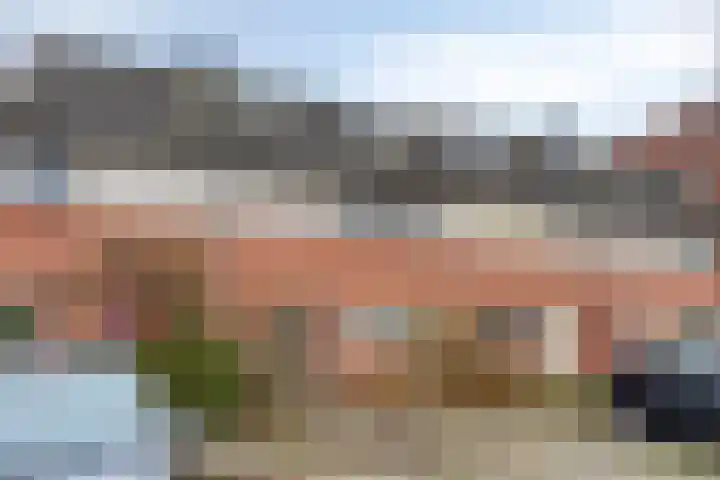 Bodohout 37 Zoetermeer thumbnail 43