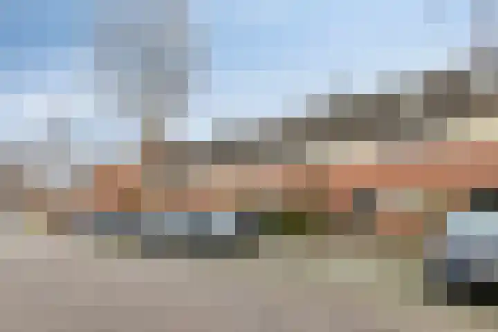 Bodohout 37 Zoetermeer thumbnail 44