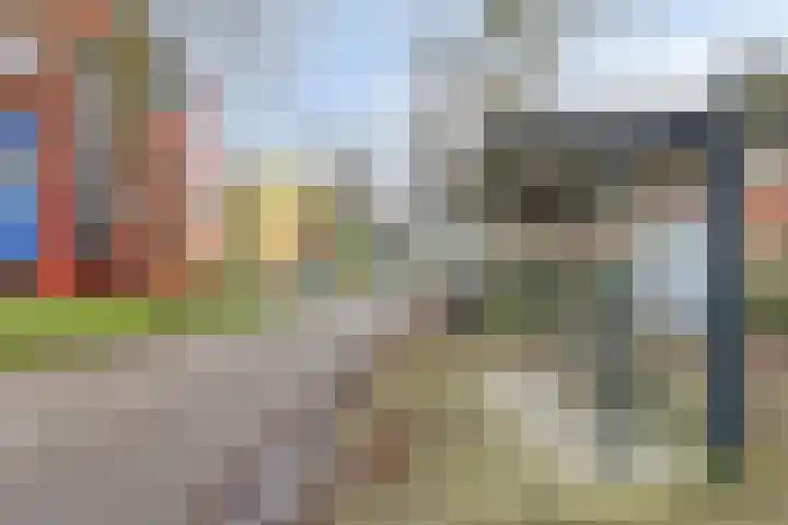 Bodohout 37 Zoetermeer thumbnail 45