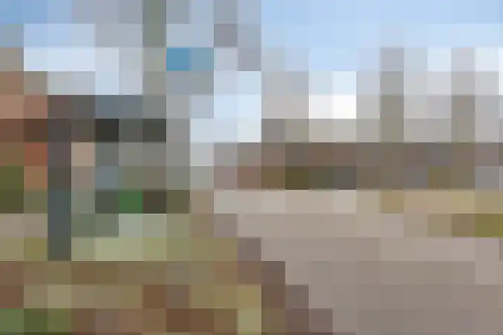 Bodohout 37 Zoetermeer thumbnail 46