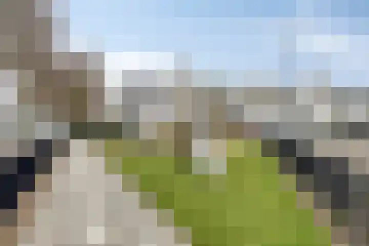 Bodohout 37 Zoetermeer thumbnail 47