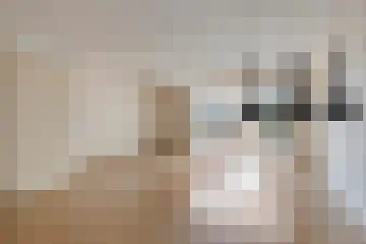 Bodohout 37 Zoetermeer thumbnail 6