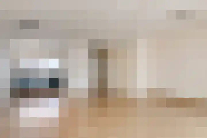 Bodohout 37 Zoetermeer thumbnail 7