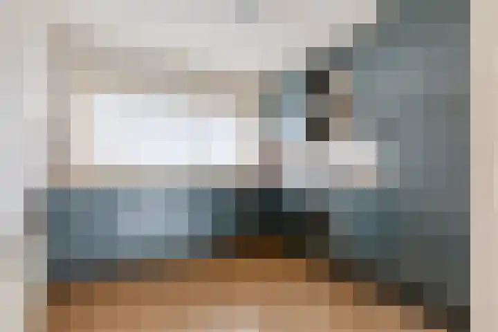 Bodohout 37 Zoetermeer thumbnail 9