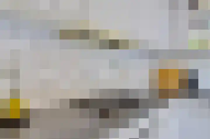 Boech 7 Joure thumbnail 20