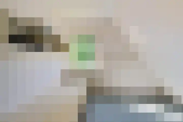 Boech 7 Joure thumbnail 21
