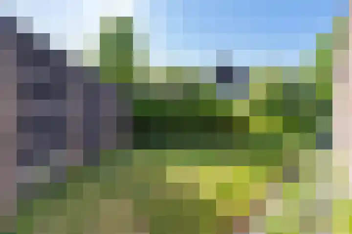 Boech 7 Joure thumbnail 34