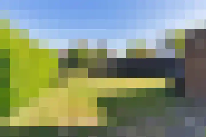 Boech 7 Joure thumbnail 37