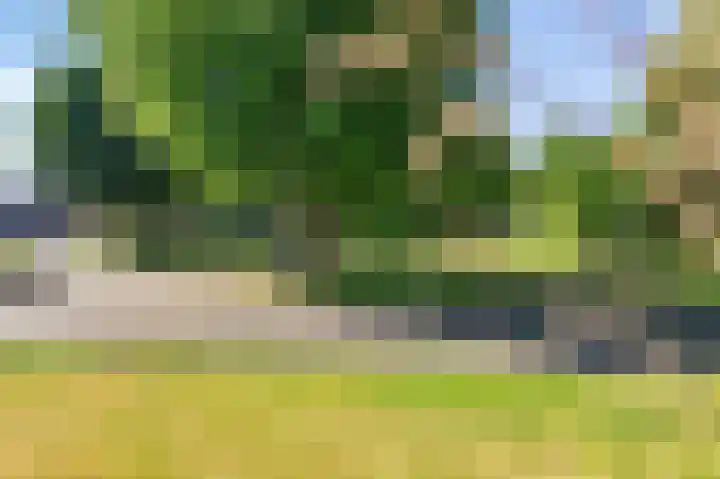 Boech 7 Joure thumbnail 39