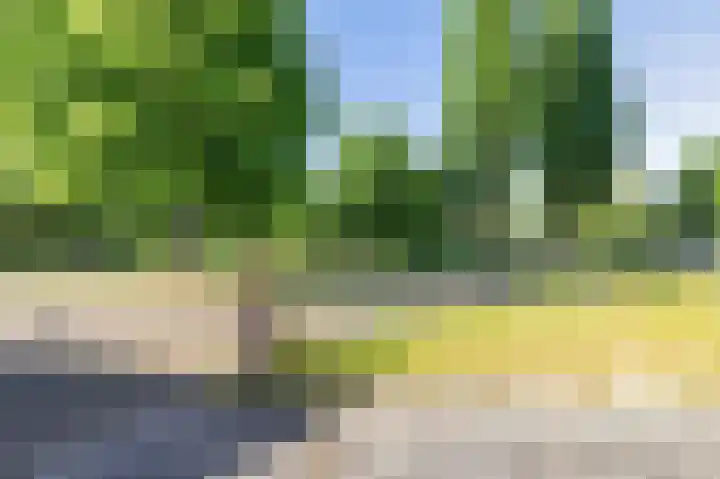 Boech 7 Joure thumbnail 4