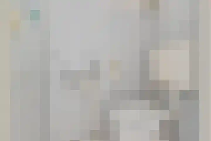 Boech 7 Joure thumbnail 8