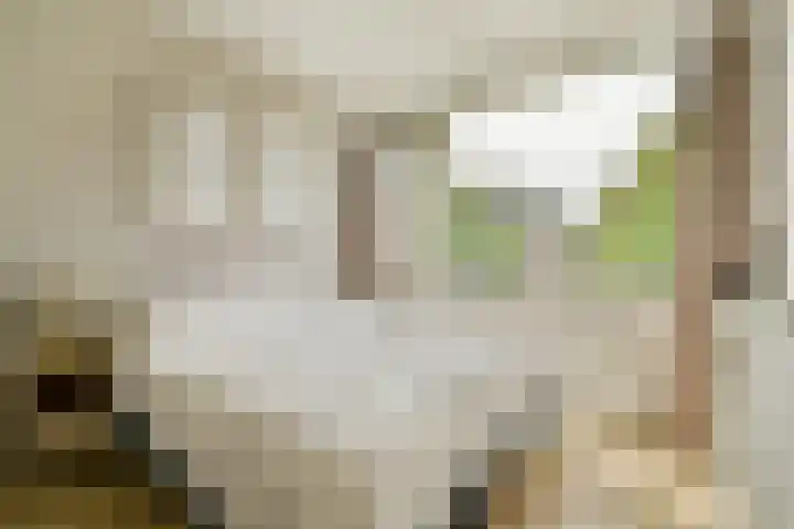 Boeckenburg 41 Amsterdam thumbnail 12