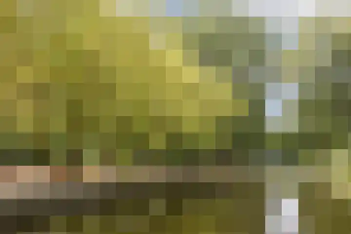 Boeckenburg 41 Amsterdam thumbnail 21