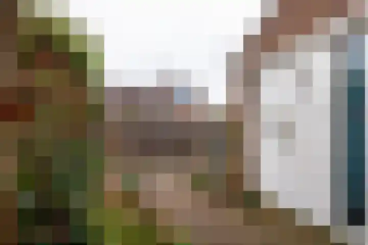 Boedapeststraat 36 Haarlem thumbnail 30