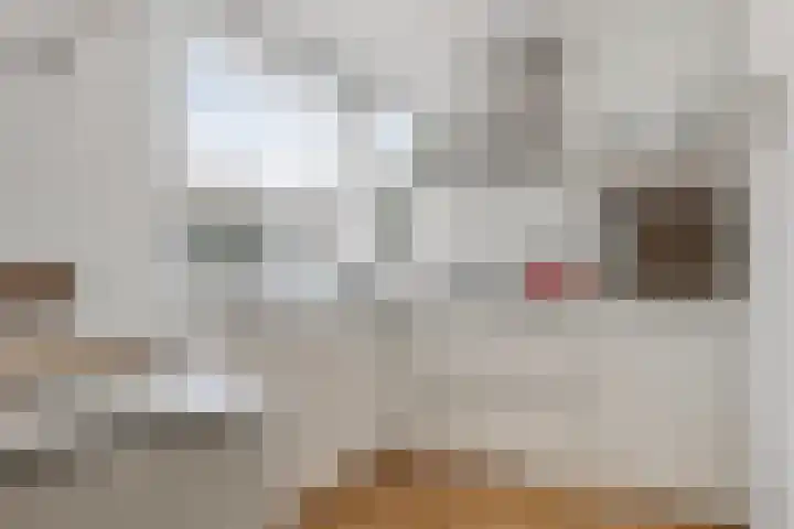 Boegbeeld 33 Oss thumbnail 17