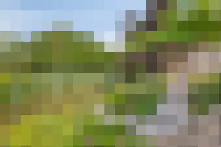 Boegbeeld 33 Oss thumbnail 34