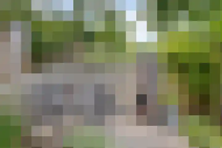 Boegbeeld 33 Oss thumbnail 5