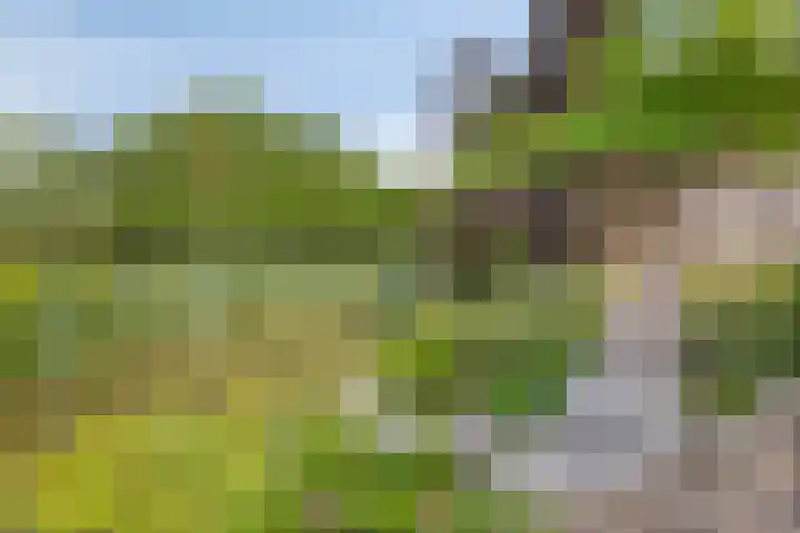 Boegbeeld 33 Oss thumbnail 6