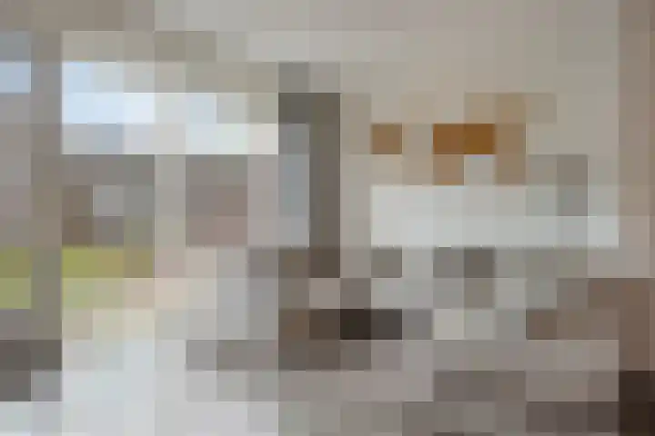 Boegent 35 Reusel thumbnail 6