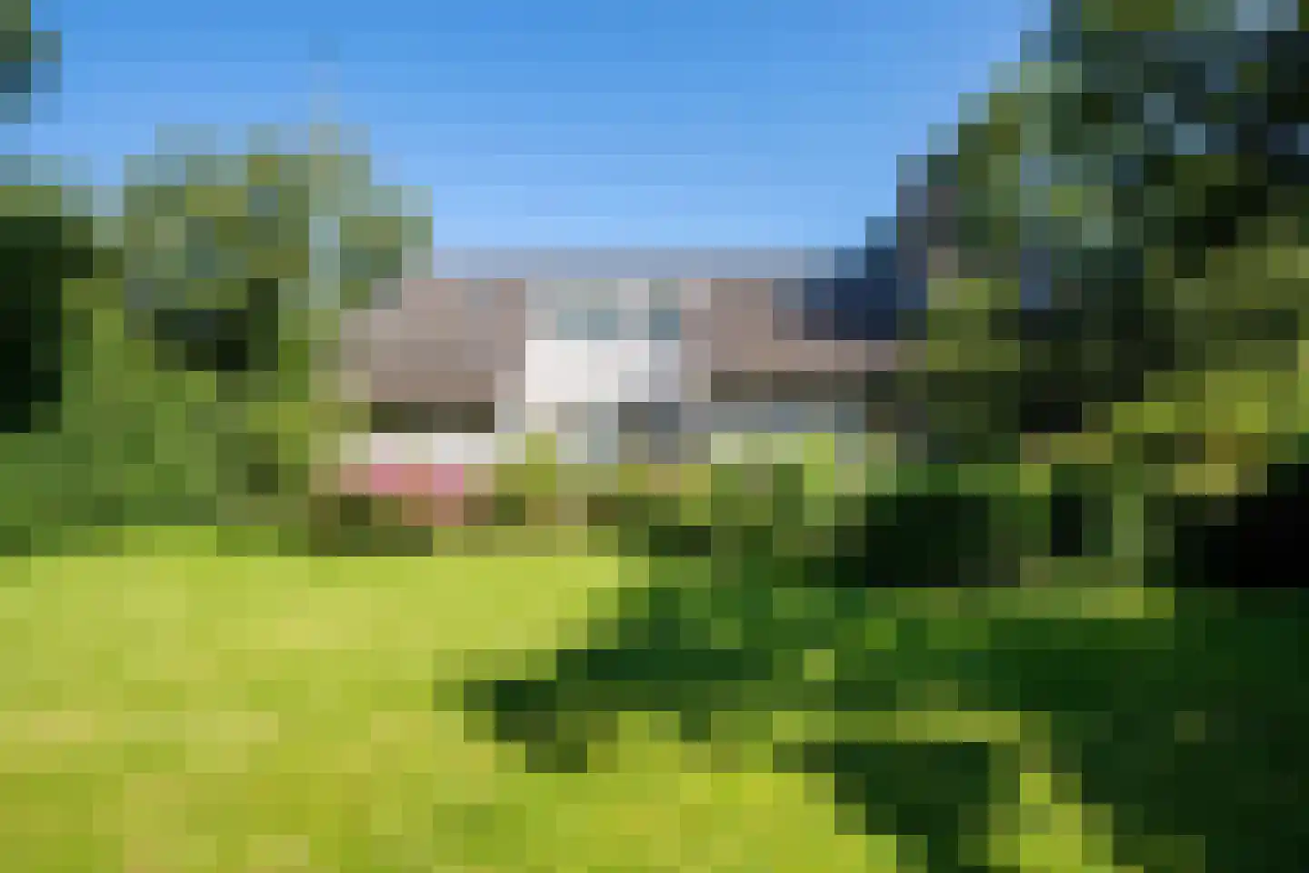 Boeier 01 01 6 Lelystad thumbnail 84