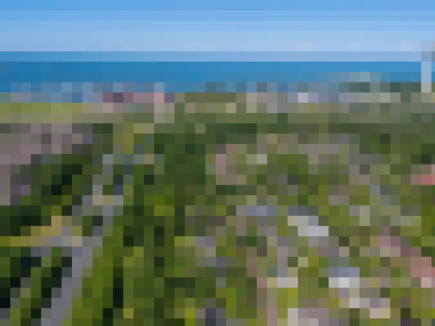 Boeier 01 01 6 Lelystad thumbnail 93
