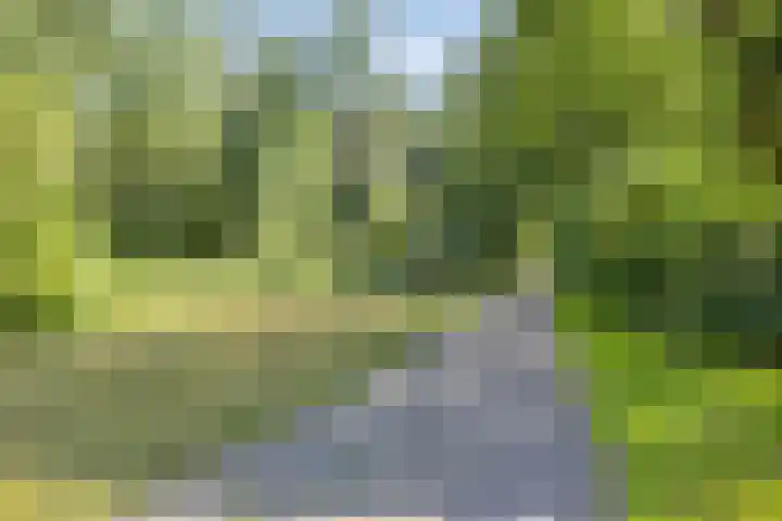 Boeier 01 01 8 Lelystad thumbnail 76
