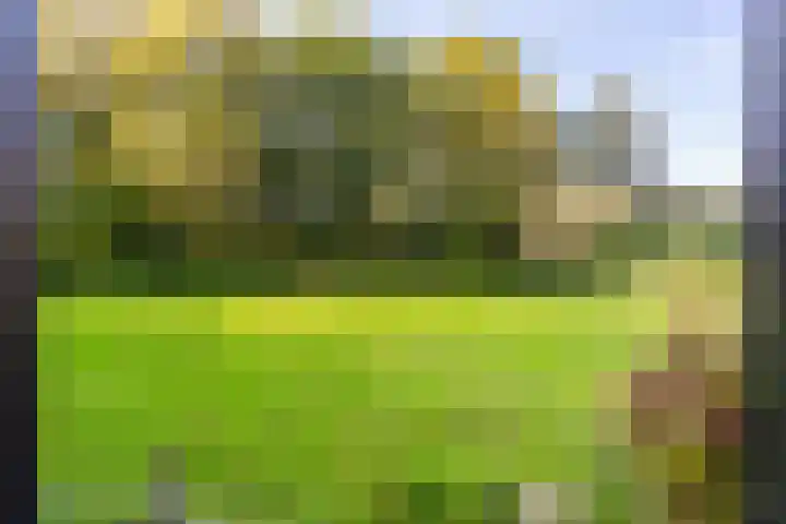 Boeier 02 02 45 Lelystad thumbnail 37