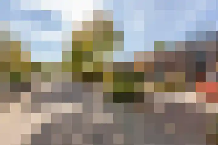 Boeier 02 02 45 Lelystad thumbnail 38