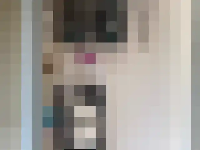 Boeier 12 Obdam thumbnail 11