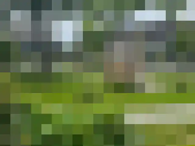 Boeier 16 Obdam thumbnail 27