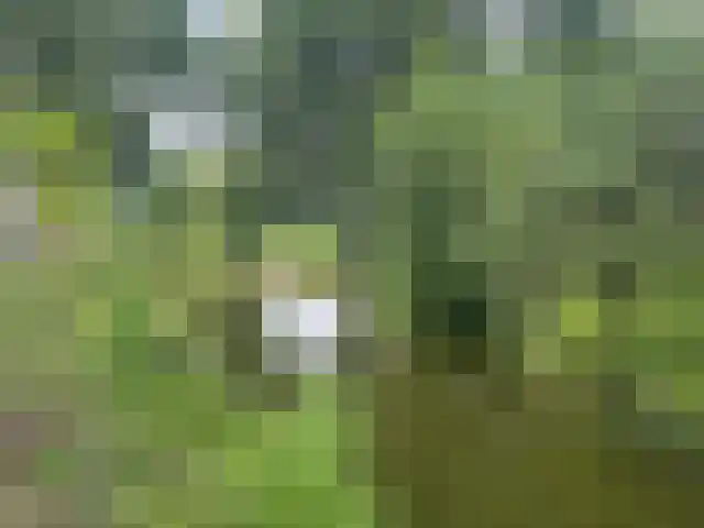 Boeier 16 Obdam thumbnail 5