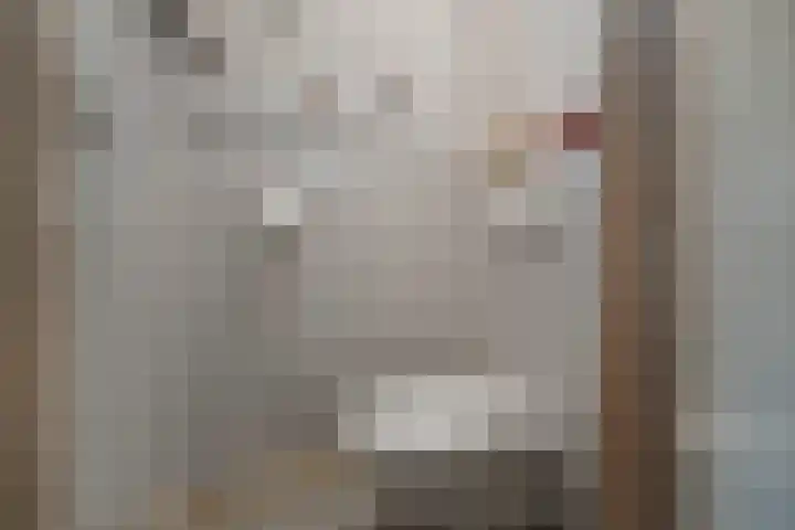 Boeier 16 Wieringerwerf thumbnail 13