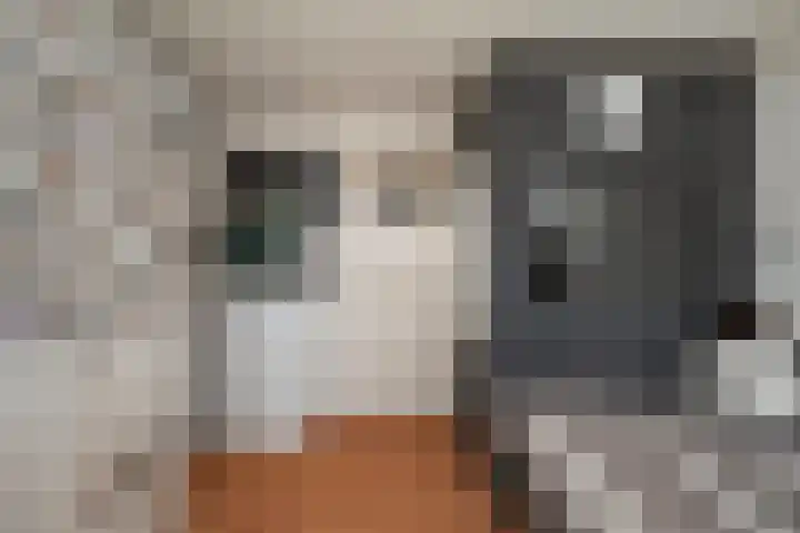 Boeier 16 Wieringerwerf thumbnail 17