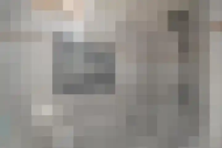 Boeier 16 Wieringerwerf thumbnail 4