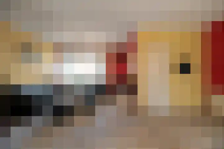 Boeier 16 Wieringerwerf thumbnail 8