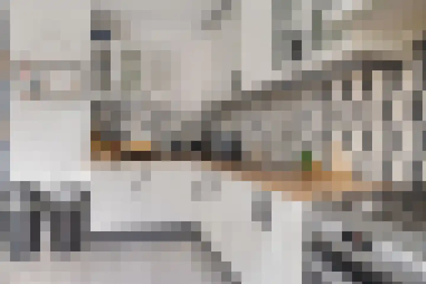 Boeier 22 Wieringerwerf thumbnail 12