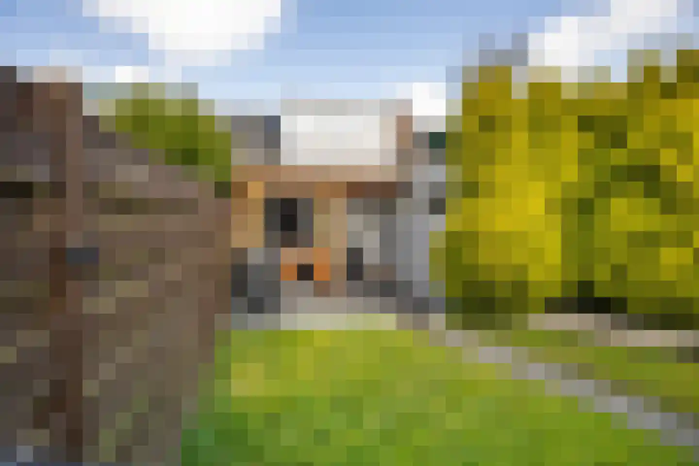 Boeier 22 Wieringerwerf thumbnail 30