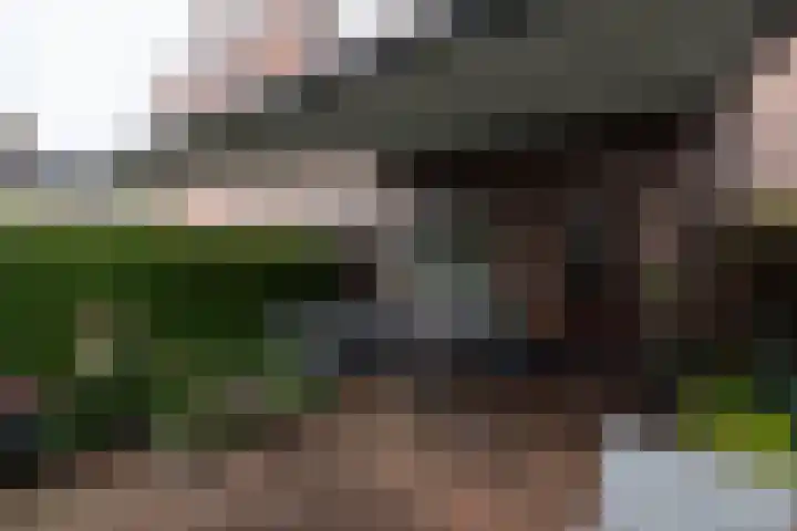 Boeier 23 Barendrecht thumbnail 28