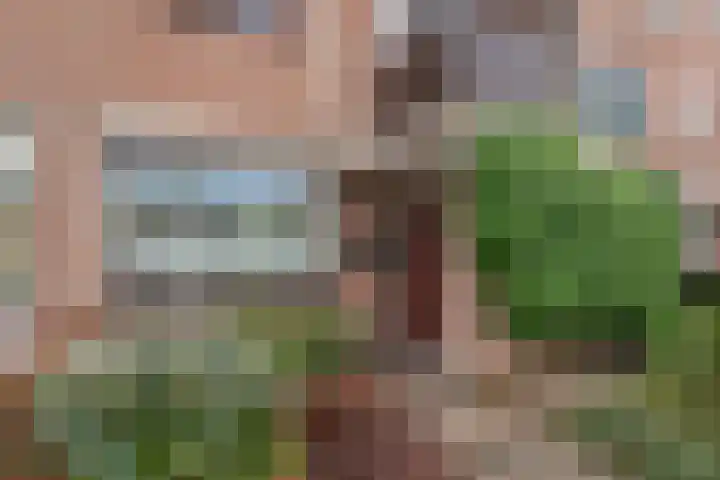 Boeier 23 Barendrecht thumbnail 5