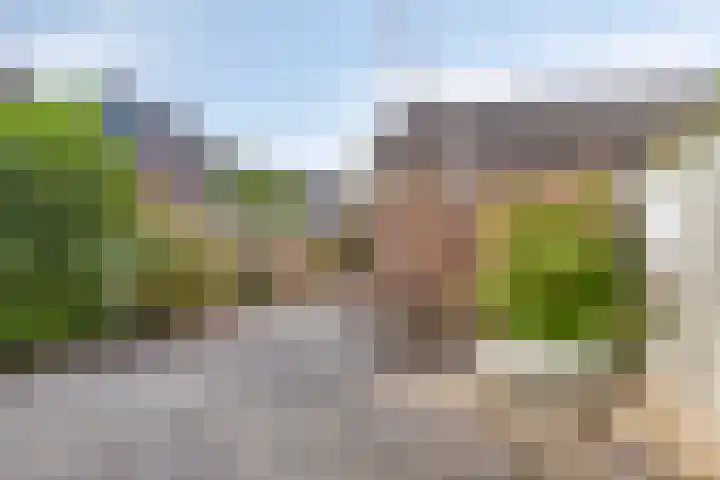 Boeier 26 Barendrecht thumbnail 30