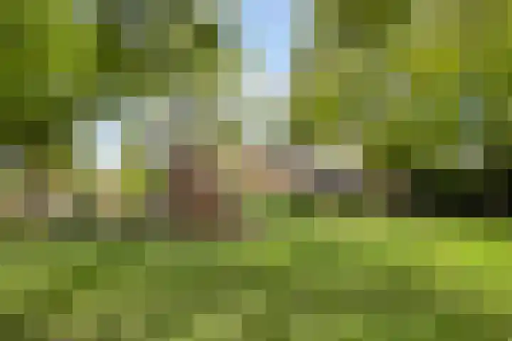 Boeier 26 Barendrecht thumbnail 41