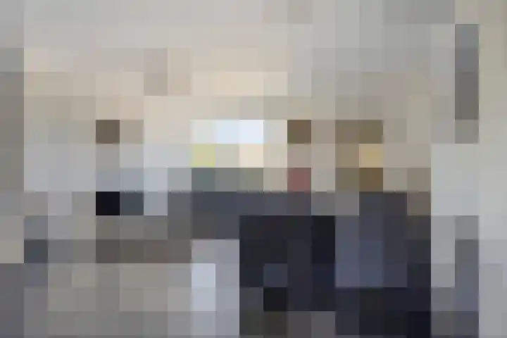 Boeier 26 Barendrecht thumbnail 5