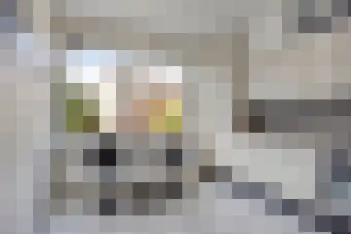 Boeier 26 Barendrecht thumbnail 7