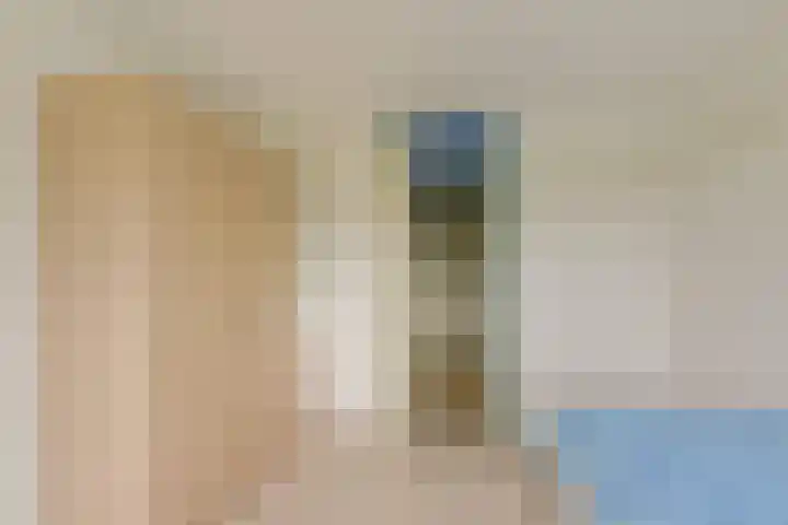 Boeier 29 Hoorn thumbnail 14