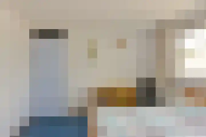 Boeier 29 Hoorn thumbnail 18
