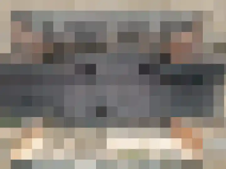 Boeier 29 Hoorn thumbnail 19