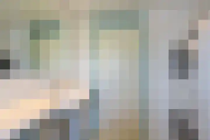 Boeier 29 Hoorn thumbnail 20