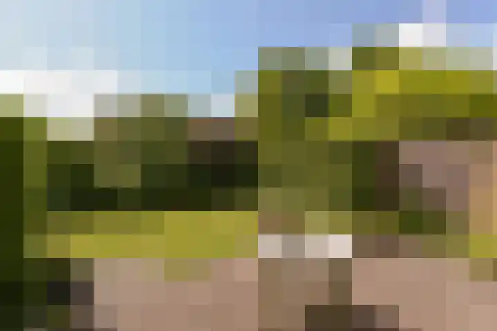 Boeier 29 Hoorn thumbnail 25