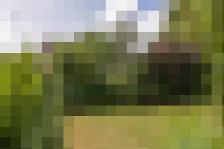 Boeier 29 Hoorn thumbnail 26