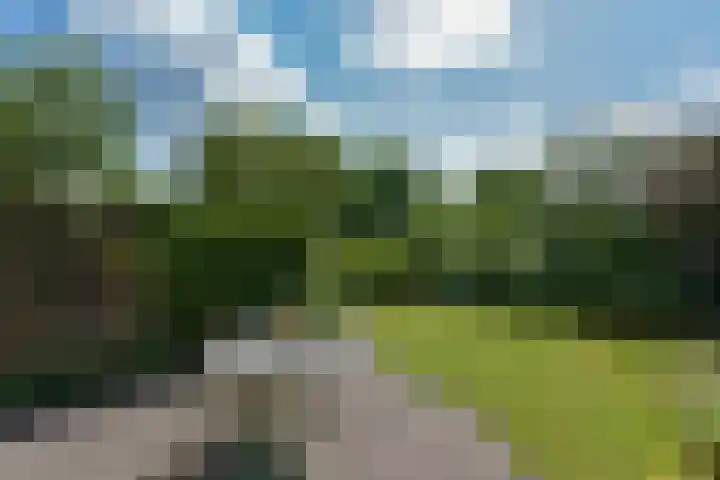 Boeier 29 Hoorn thumbnail 27